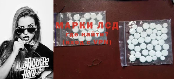 индика Абинск