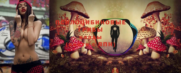 apvp Абдулино