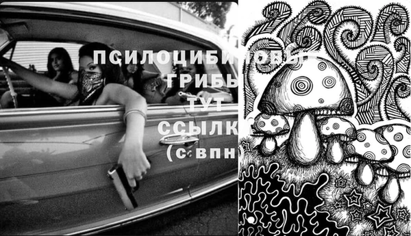 apvp Абдулино