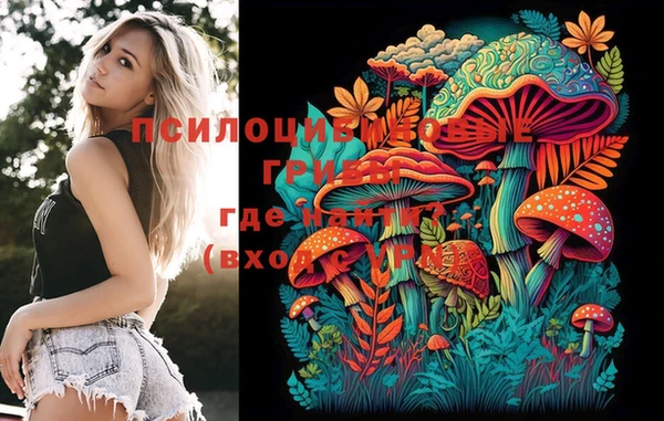 индика Абинск