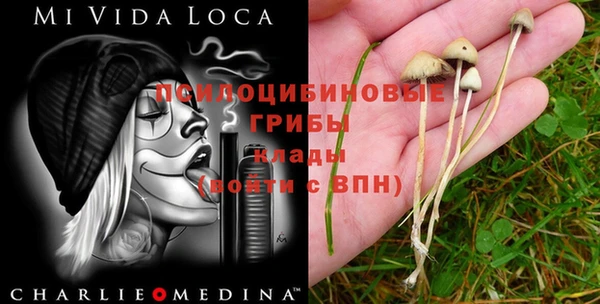 первитин Абаза