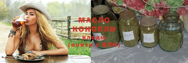 индика Абинск
