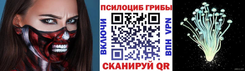 магазин продажи наркотиков  блэк спрут как зайти  Псилоцибиновые грибы Magic Shrooms  Невельск 